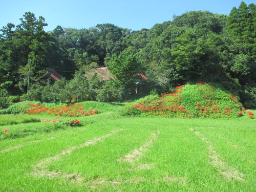 林様風景.JPG